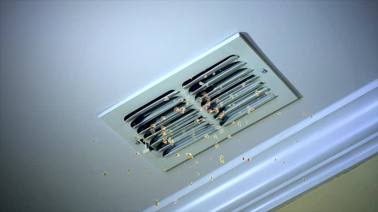 Best Local Air Duct Cleaning Services  in Port Jervis, NY
